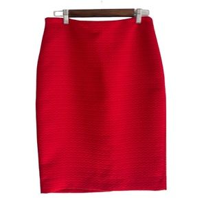 The Limited Red Skirt Size 6